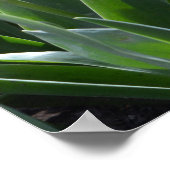 Rosa Tulpe-Blume vom Frühling, Das Gebet des Herrn Poster (Ecke)