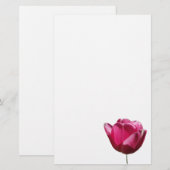Rosa Tulpe-Briefpapier-Papier Briefpapier (Vorne/Hinten)