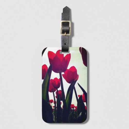 Rosa Tulpe-Gepäckanhänger Gepäckanhänger (Vorderseite Vertikal)