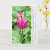 Rosa Tulpe im Garten Geburtstag Karte (Gelbe Blume)