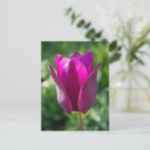 Rosa Tulpe-Postkarte Postkarte (Stehend Vorderseite)
