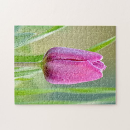 Rosa Tulpe Puzzle (Horizontal)