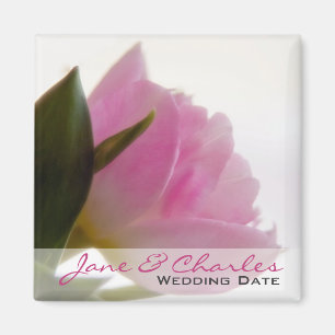 Rosa Tulpe • Save the Date Magnet