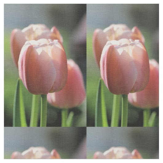 Rosa Tulpe Stoff (Nahaufnahme)