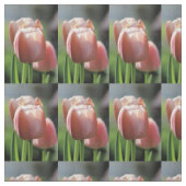 Rosa Tulpe Stoff (Muster)