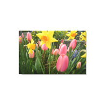 Rosa Tulpe und Blume in Gelbtönen