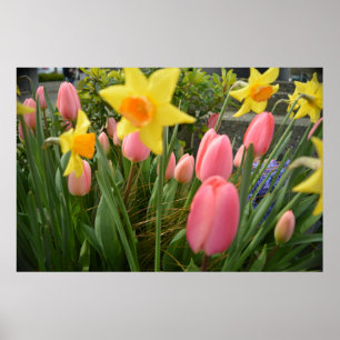 Rosa Tulpe und Blume in Gelbtönen Poster
