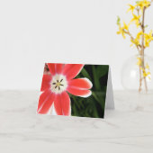 rosa Tulpelicht Karte (Gelbe Blume)