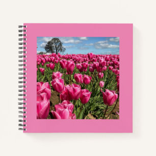 Rosa Tulpen auf einem Feld, Oregon Notizblock