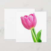 Rosa Tulpen auf weiß (Vorne/Hinten)