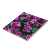 Rosa Tulpen Blume Fliese (Seite)