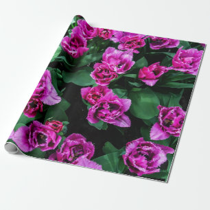 Rosa Tulpen Blume Geschenkpapier