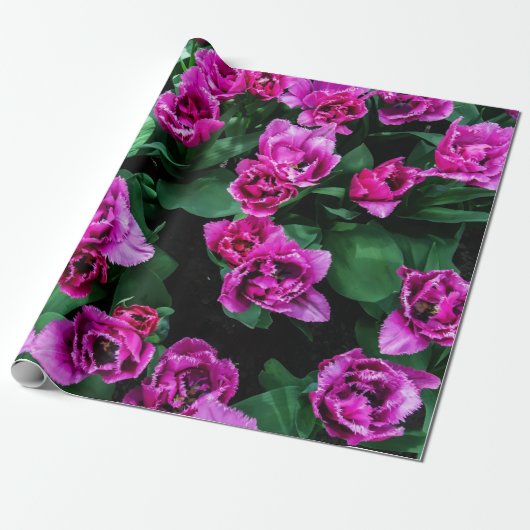 Rosa Tulpen Blume Geschenkpapier (Ungerollt)