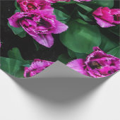 Rosa Tulpen Blume Geschenkpapier (Ecke)