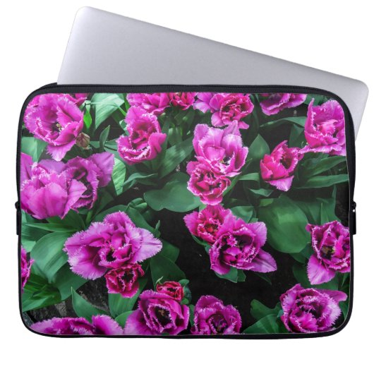 Rosa Tulpen Blume Laptopschutzhülle (Vorderseite)