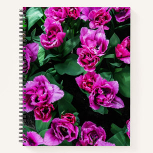 Rosa Tulpen Blume Notizblock