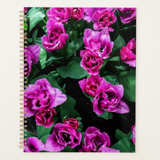 Rosa Tulpen Blume Planer (Vorderseite)