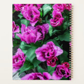 Rosa Tulpen Blume Planer (Rückseite)