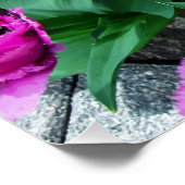 Rosa Tulpen Blume Poster (Ecke)