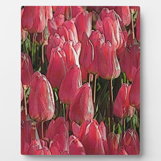 Rosa Tulpen Blumen Fotoplatte (Vorderseite)