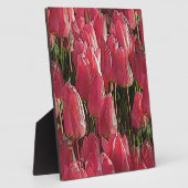 Rosa Tulpen Blumen Fotoplatte (Seite)