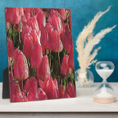 Rosa Tulpen Blumen Fotoplatte (Seite)