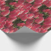 Rosa Tulpen Blumen Geschenkpapier (Ecke)