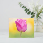 Rosa Tulpen-Blumen-Kunstprint Postkarte (Stehend Vorderseite)