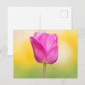 Rosa Tulpen-Blumen-Kunstprint Postkarte (Vorne/Hinten)