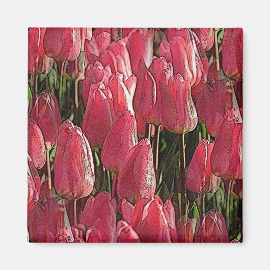 Rosa Tulpen Blumen Magnet (Vorne)
