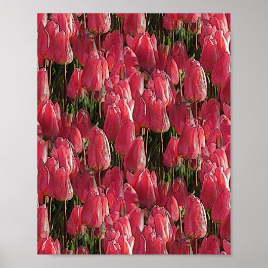 Rosa Tulpen Blumen Poster (Vorne)