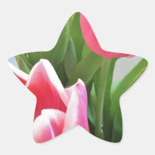 Rosa Tulpen, Blumenfrühlings-Blumenstrauß, Blume Stern-Aufkleber