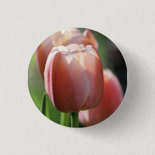 Rosa Tulpen Button