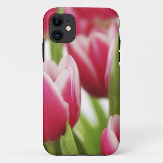 Rosa Tulpen Case-Mate iPhone Hülle (Rückseite)