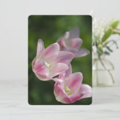 Rosa Tulpen - Einladung (Stehend Vorderseite)