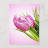 Rosa Tulpen Feiertagspostkarte (Vorderseite)