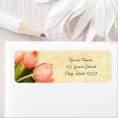 Rosa Tulpen Frühlingssäule Blume Rücksendeadresse (Insitu)