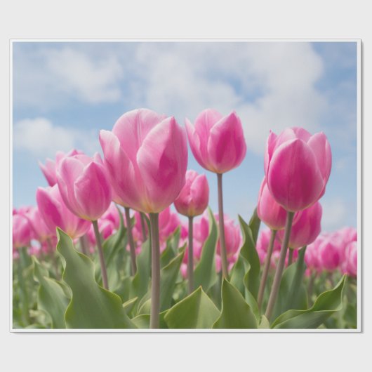 Rosa Tulpen Geschenkpapier  (Flach)