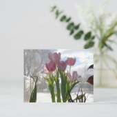 Rosa Tulpen in der Wintersonne Postkarte (Stehend Vorderseite)