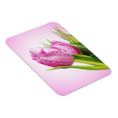 Rosa Tulpen Magnet (Rechte Seite)