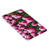 Rosa Tulpen Magnet (Rechte Seite)