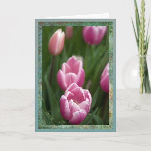 Rosa Tulpen mit Abtropfen Karte (Vorderseite)
