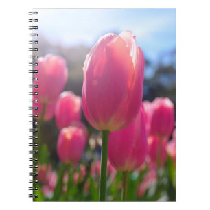 Rosa Tulpen Notizblock