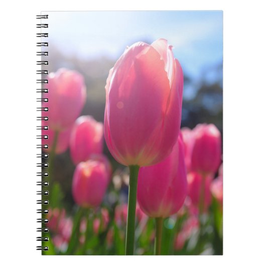 Rosa Tulpen Notizblock (Vorderseite)