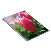 Rosa Tulpen Notizblock (Rechte Seite)