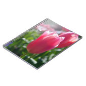 Rosa Tulpen Notizblock (Linke Seite)