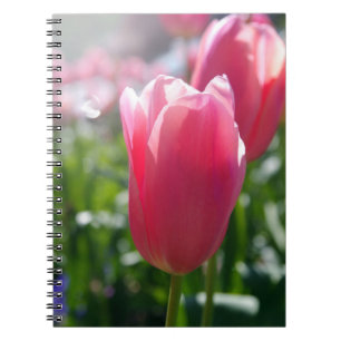 Rosa Tulpen Notizblock