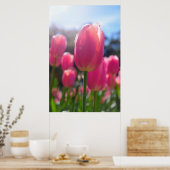 Rosa Tulpen Poster (Küche)