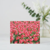 Rosa Tulpen Postkarte (Stehend Vorderseite)