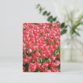 Rosa Tulpen Postkarte (Stehend Vorderseite)